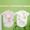 ويمكن أن تحمل القمصان التي تشبّه الكلاب الصغيرة والمتوسطة الحجم ملابس الجراء Specification image